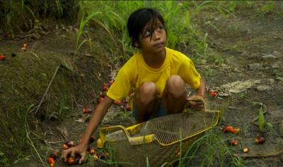 palm oil child labour