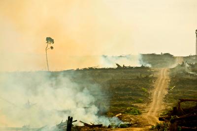 Indonesian fires