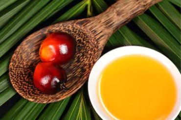 palm oil for biofuel