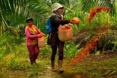 women palm oil workers